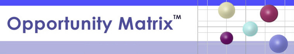 Business Strategy Coaching – Opportunity Matrix